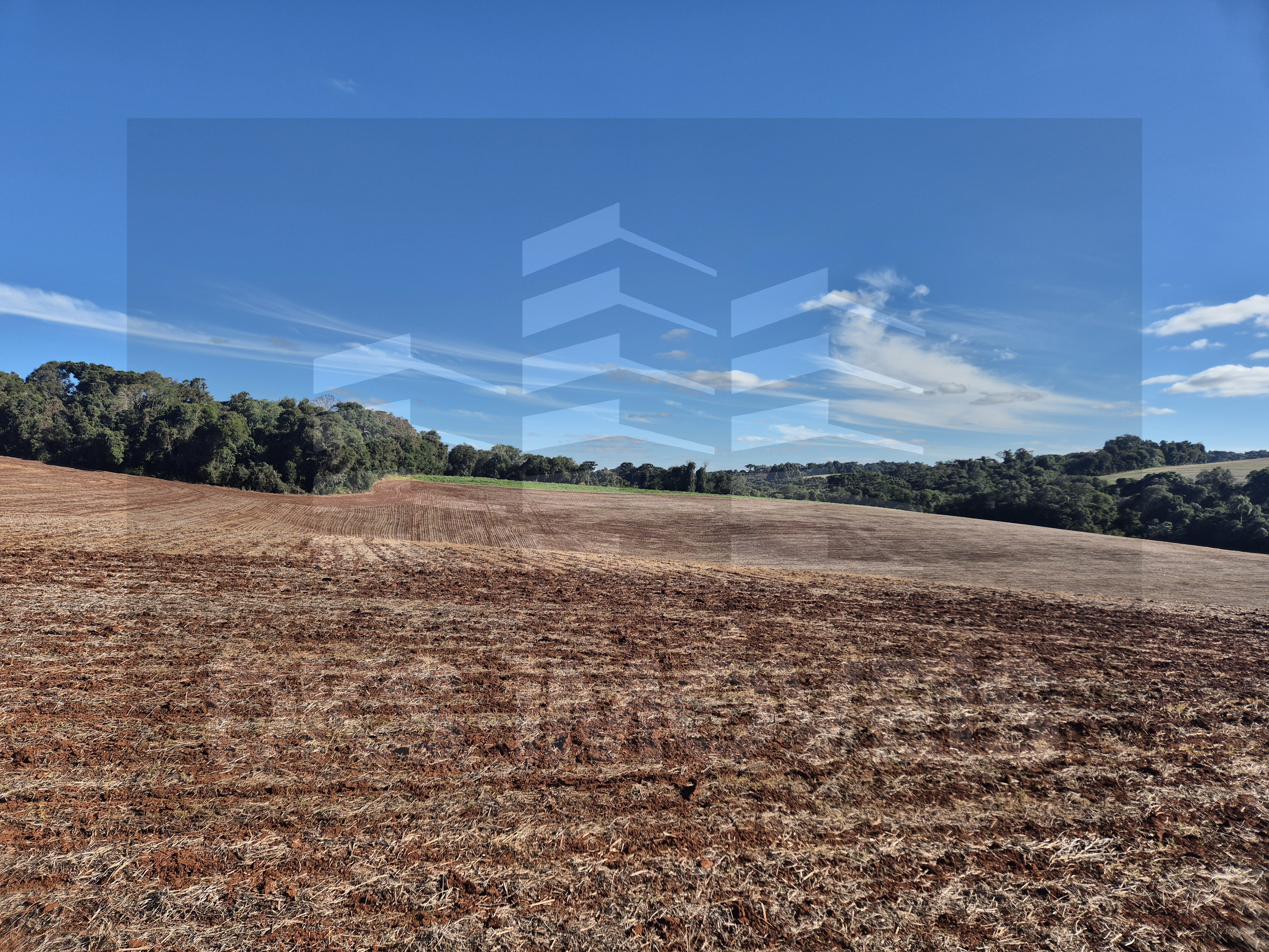 Excelente área de terra em Quinze de Novembro. — à venda em Ibirubá — Foto 3