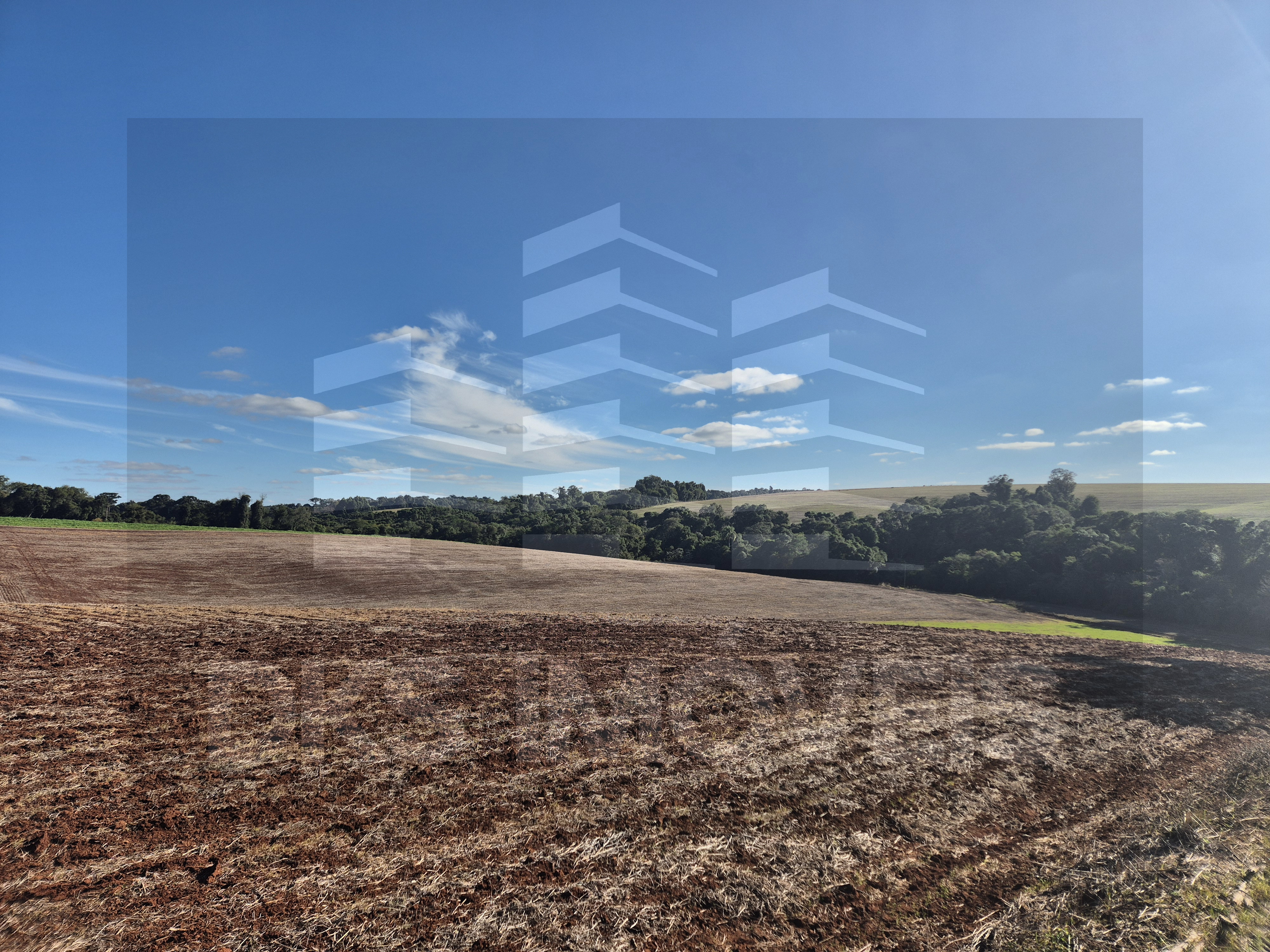 Excelente área de terra em Quinze de Novembro. — à venda em Ibirubá — Foto 4
