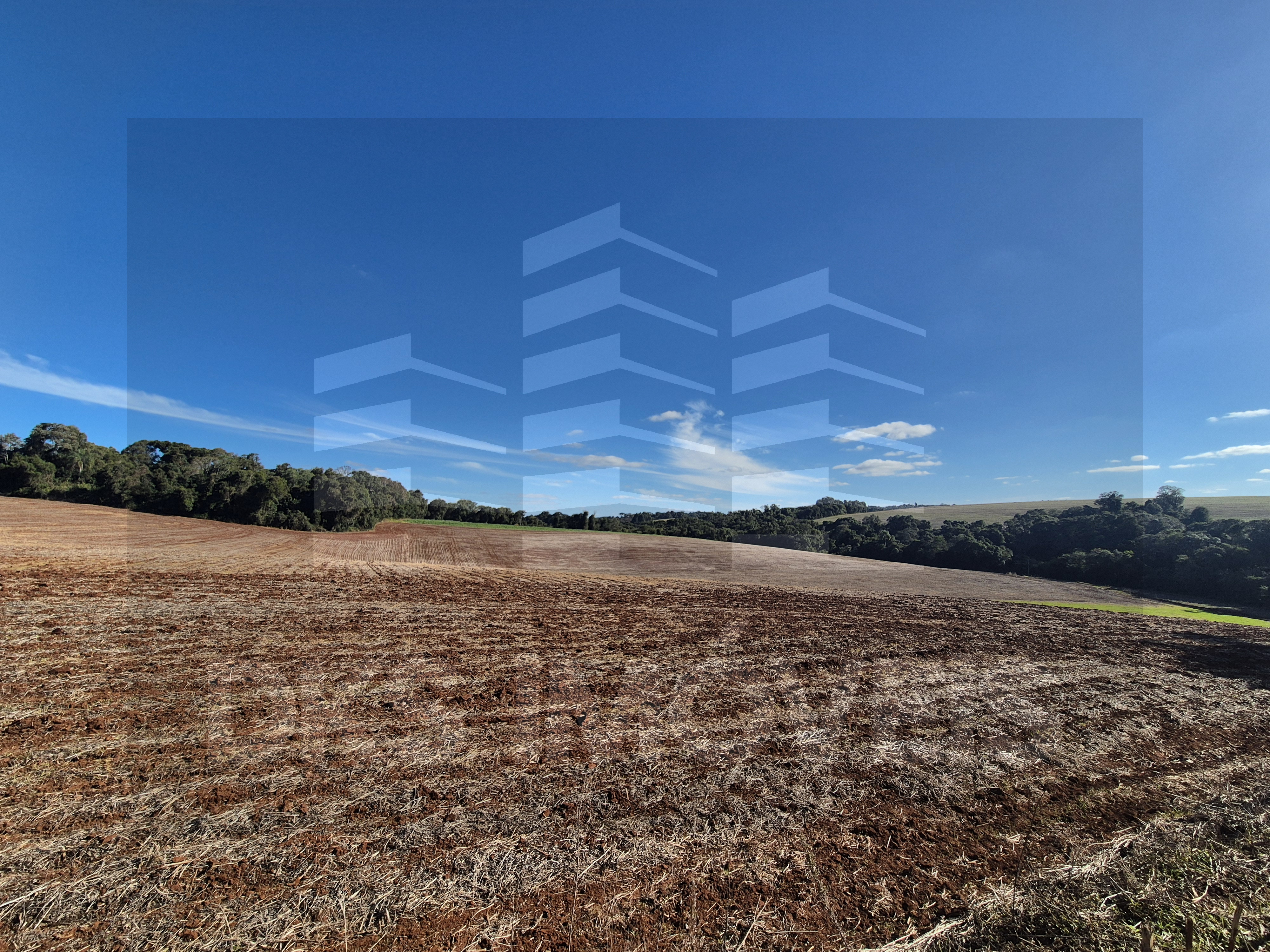 Excelente área de terra em Quinze de Novembro. — à venda em Ibirubá — Foto 5
