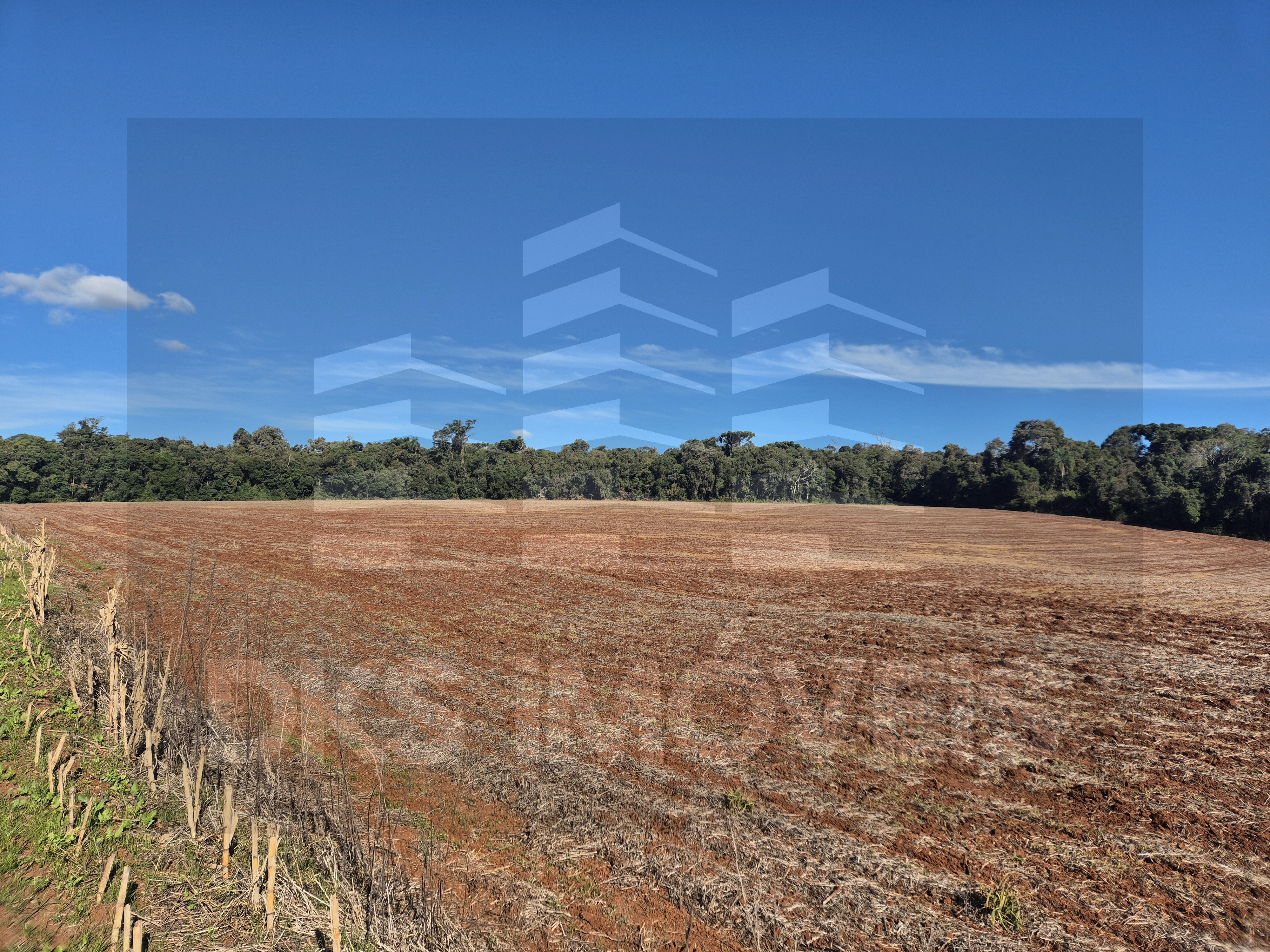 Excelente área de terra em Quinze de Novembro. — à venda em Ibirubá — Foto 6