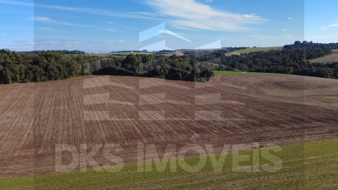 Excelente área de terra em Quinze de Novembro. — à venda em Ibirubá — Foto 9