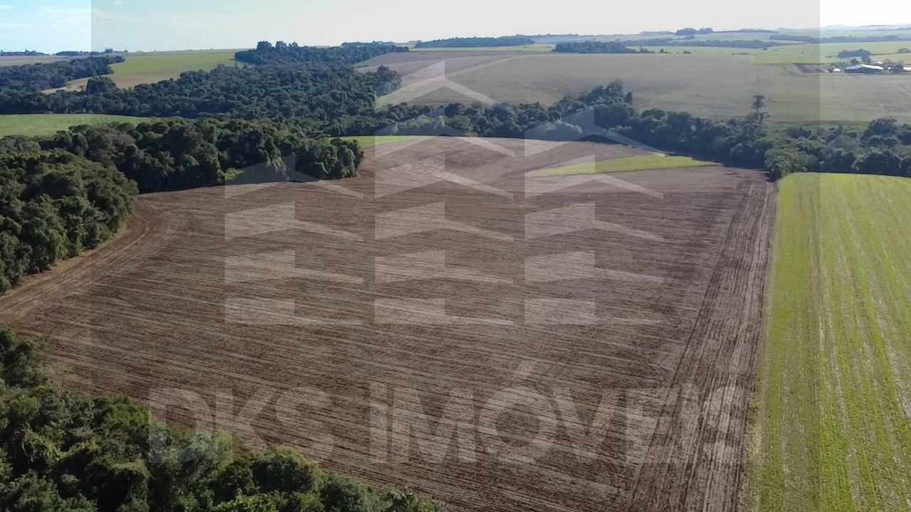 Excelente área de terra em Quinze de Novembro. — à venda em Ibirubá — Foto 14