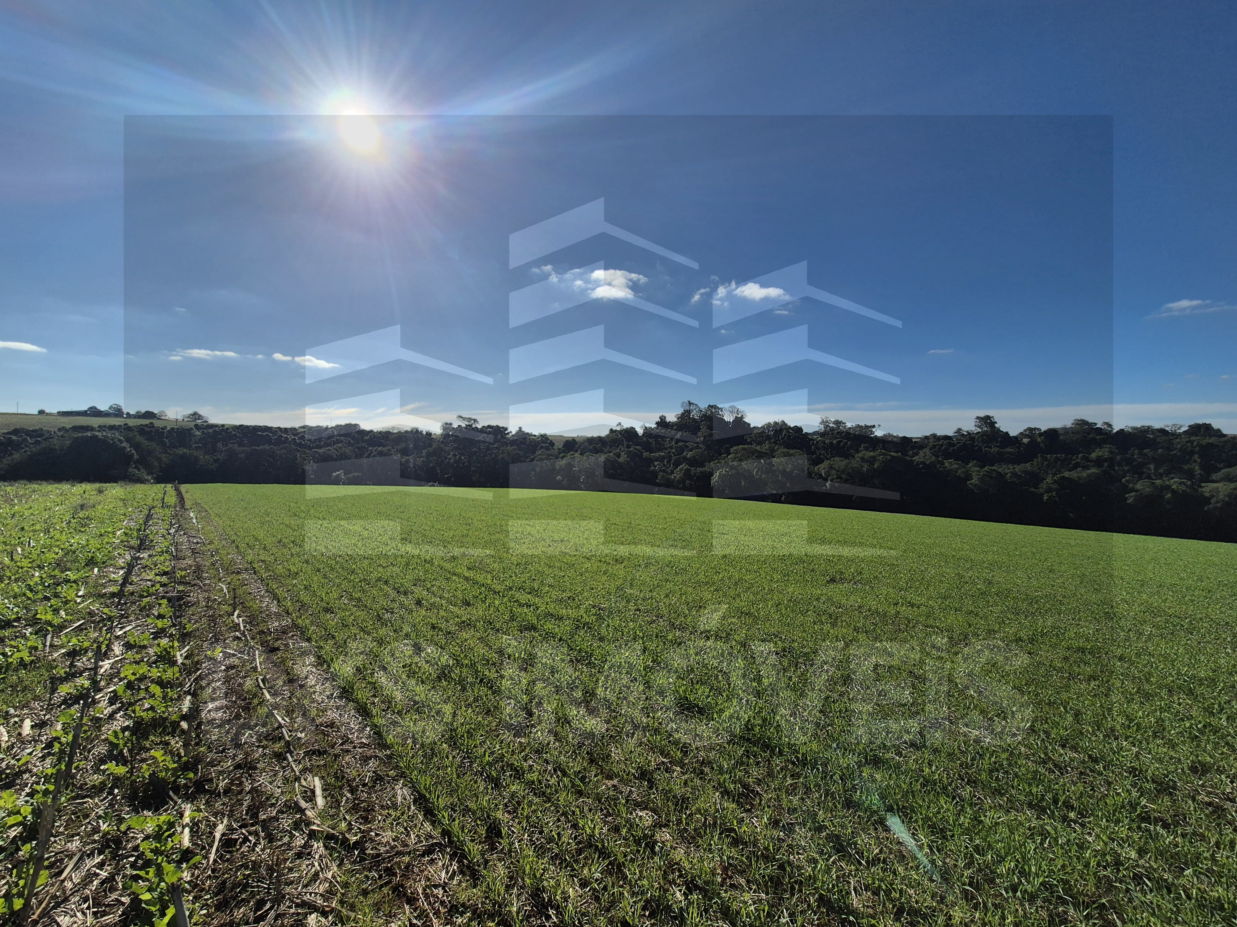 Área de terra em Quinze de Novembro. — à venda em Quinze de Novembro — Foto 4