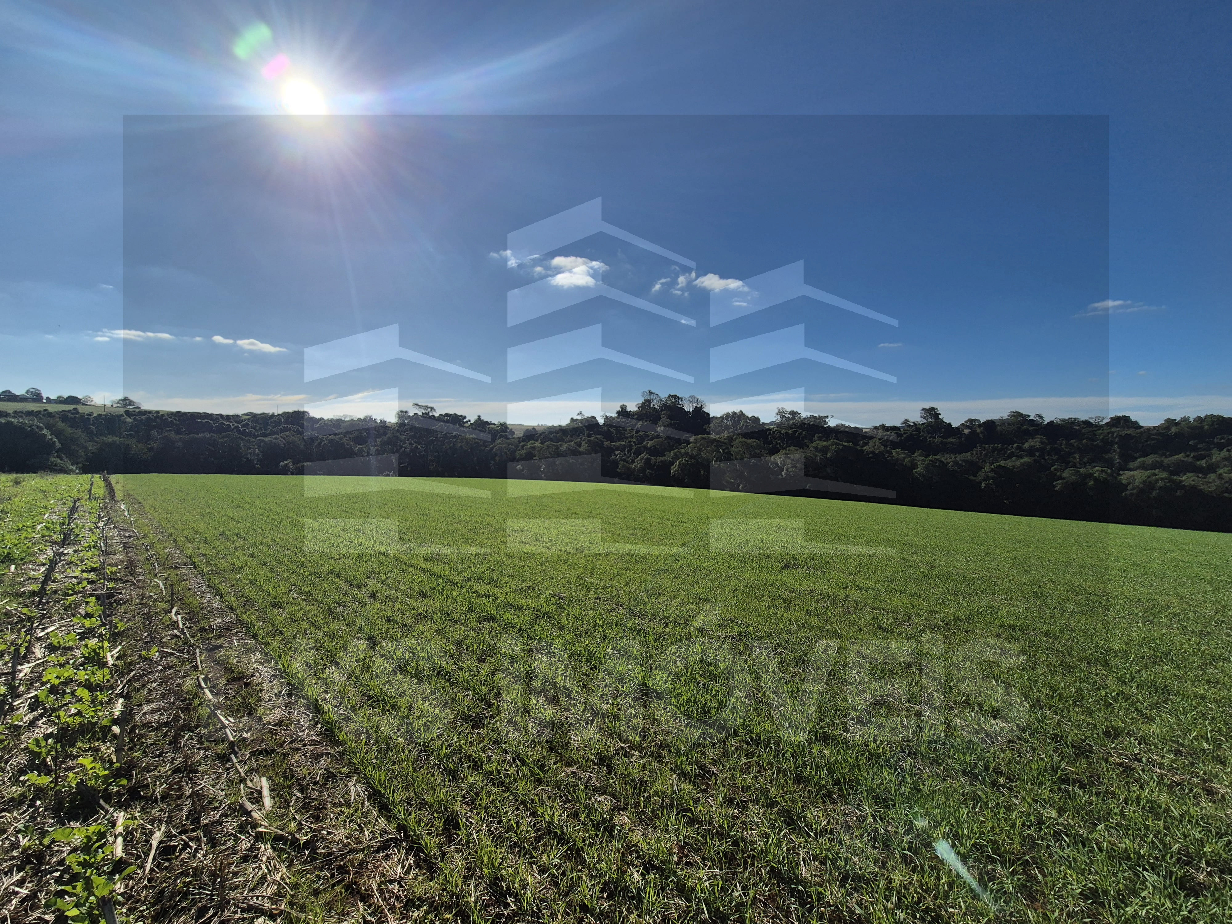 Área de terra em Quinze de Novembro. — à venda em Quinze de Novembro — Foto 5