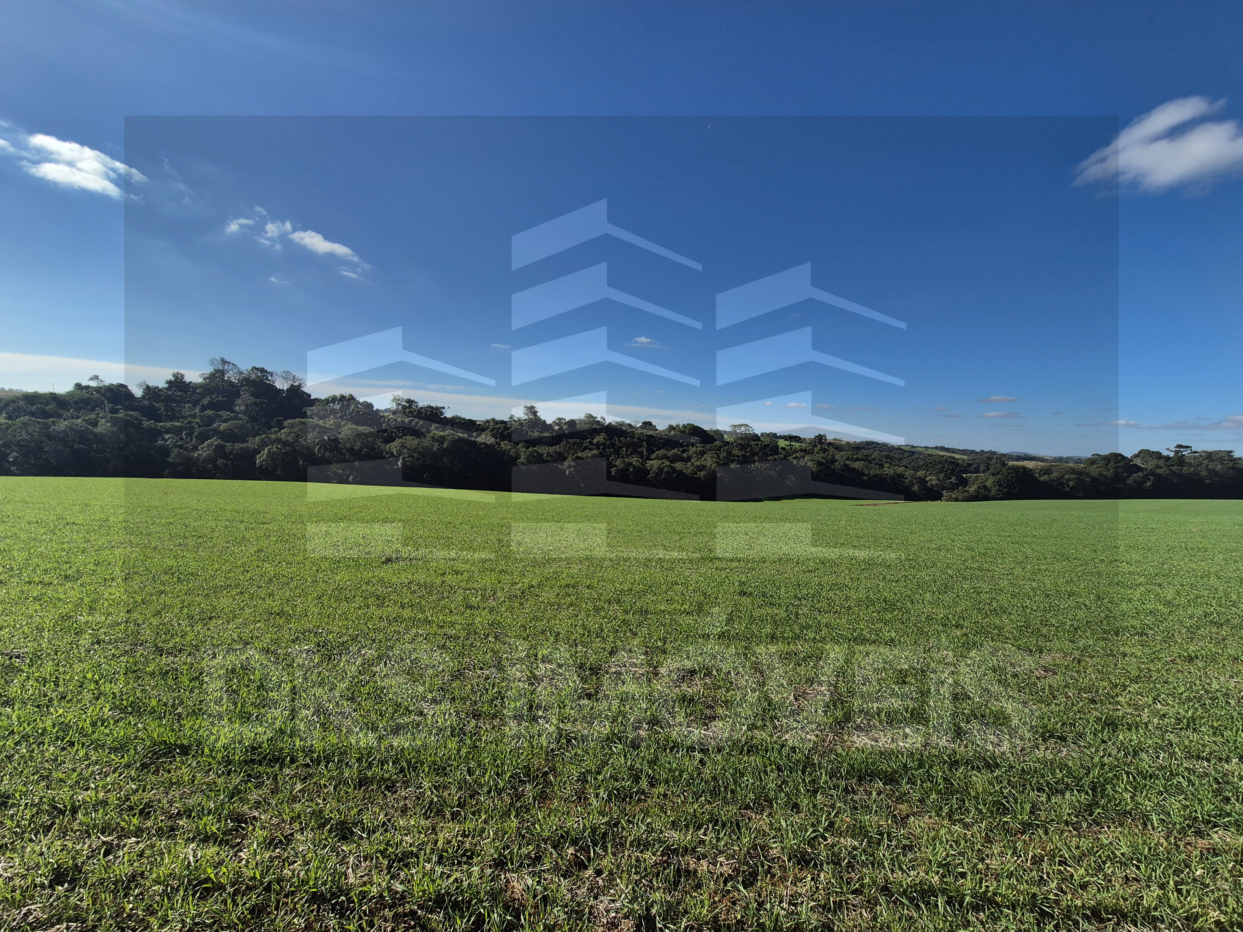 Área de terra em Quinze de Novembro. — à venda em Quinze de Novembro — Foto 6