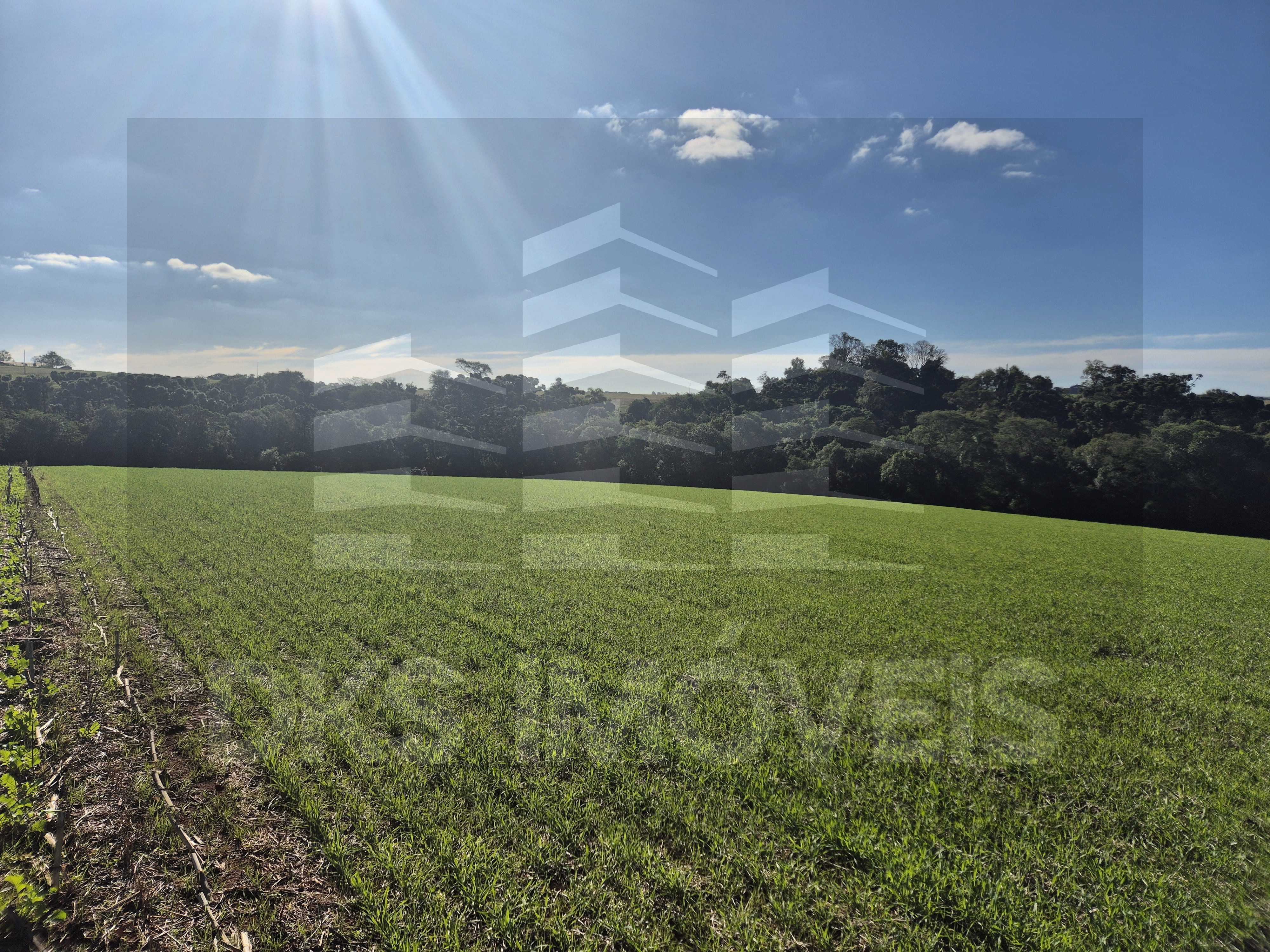 Área de terra em Quinze de Novembro. — à venda em Quinze de Novembro — Foto 8