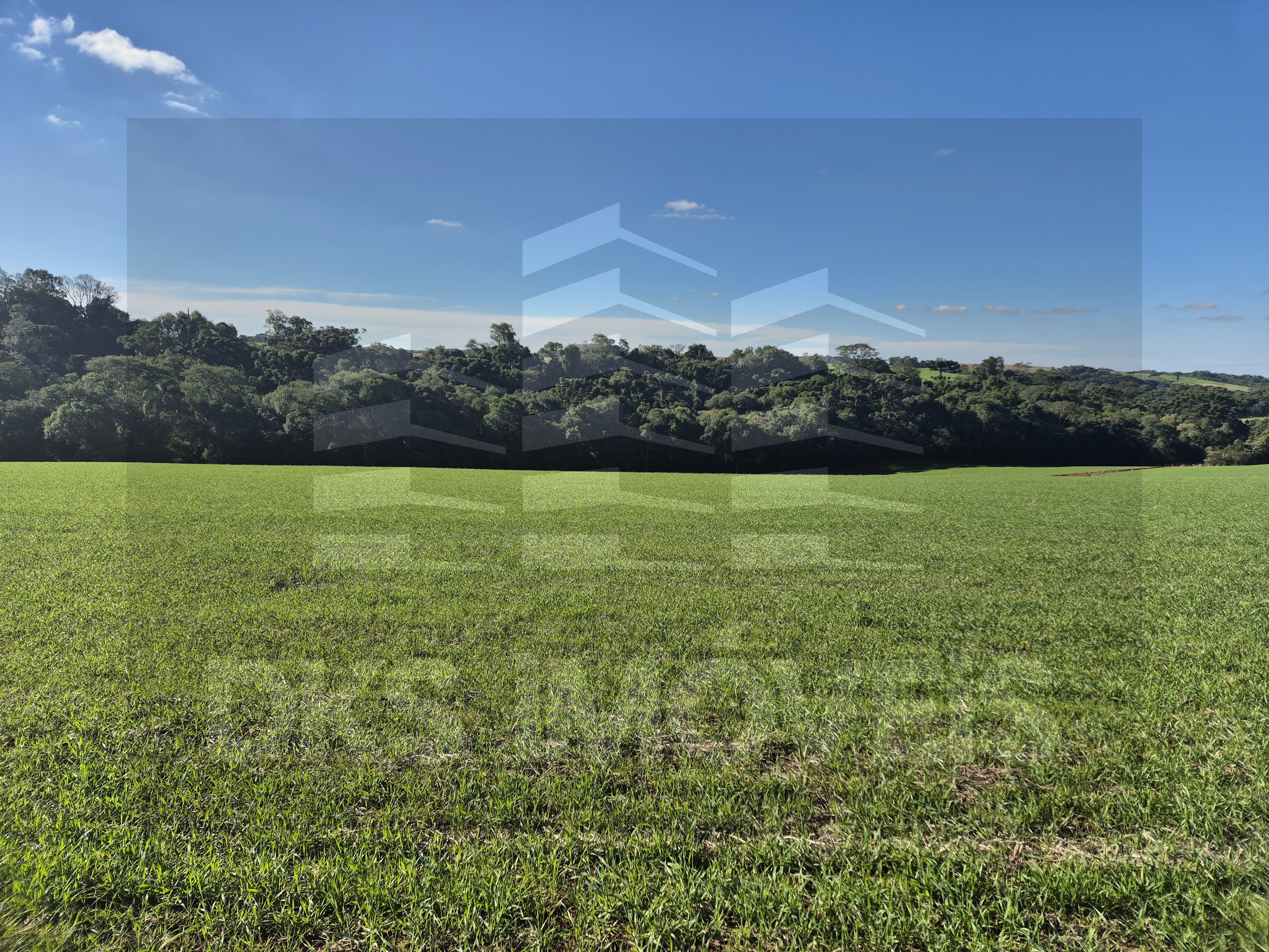 Área de terra em Quinze de Novembro. — à venda em Quinze de Novembro — Foto 12